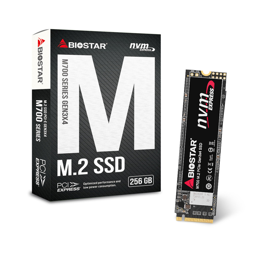 BIOSTAR M700 (256GB)