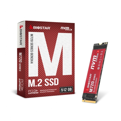 BIOSTAR M720 M.2 NVMe (512GB)
