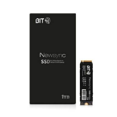 비트엠 Newsync BITS M7K M.2 NVMe (1TB) SSD